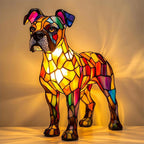 Luminária Boxer Esplendoroso